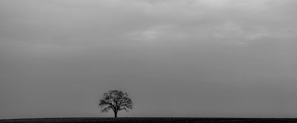 Wide shot of an empty, minimalist training space.